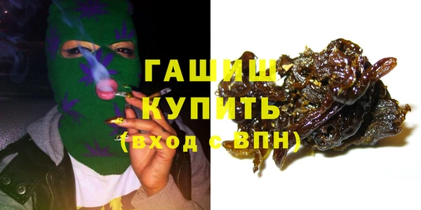 дмт Бородино