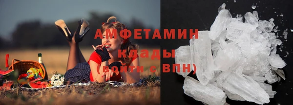 дмт Бородино