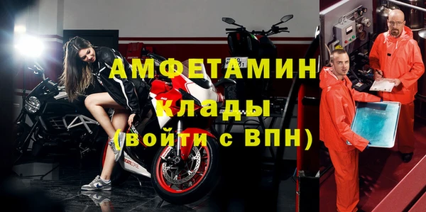 дмт Бородино