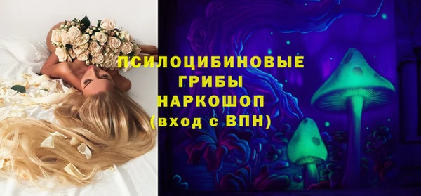 дмт Бородино